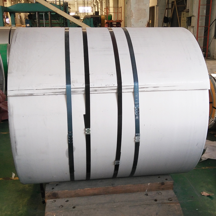 Hot Rolled 304 Ss Coil for Building and Industrial Materials